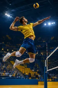 Volleyball sur IPTV